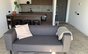 Airy Flat With A Roof Terrace
